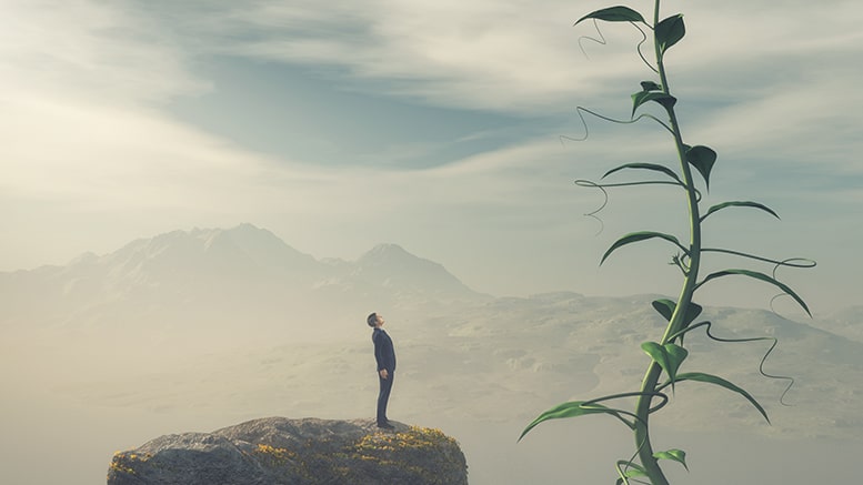 illustration of leader looking up at a beanstalk