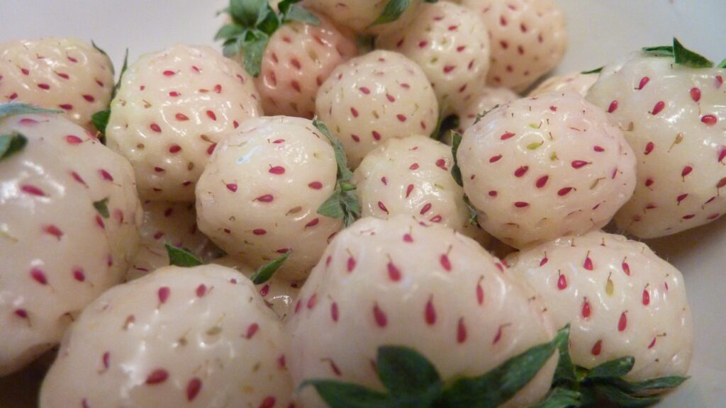 pineberries